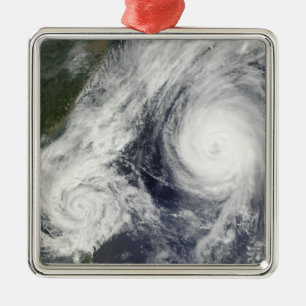 Tropical Storm Parma and Super Typhoon Melor Metal Tree Decoration
