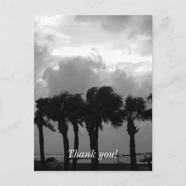 Tropical Stormy Skies Grayscale Postcard (Front)