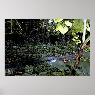Tropical Streams Poster