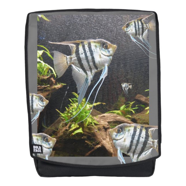 Tropical Striped Fish Backpack (Front)