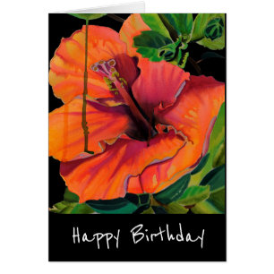 Tropical Summer orange hibiscus