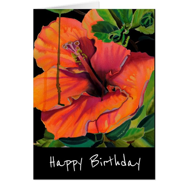 Tropical Summer orange hibiscus (Front)