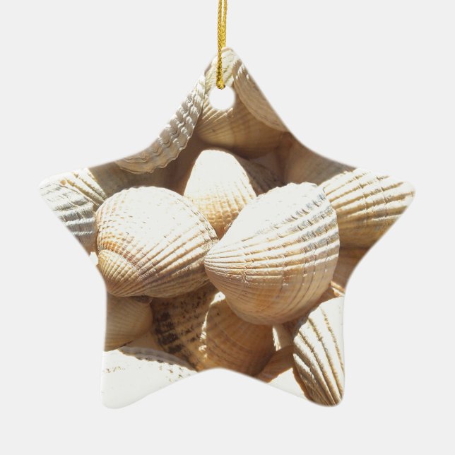 Tropical Sunny Exotic Sea Shells Ceramic Tree Decoration (Front)
