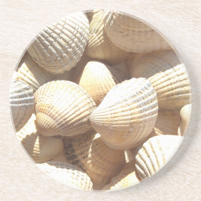 Tropical Sunny Exotic Sea Shells Coaster (Front)