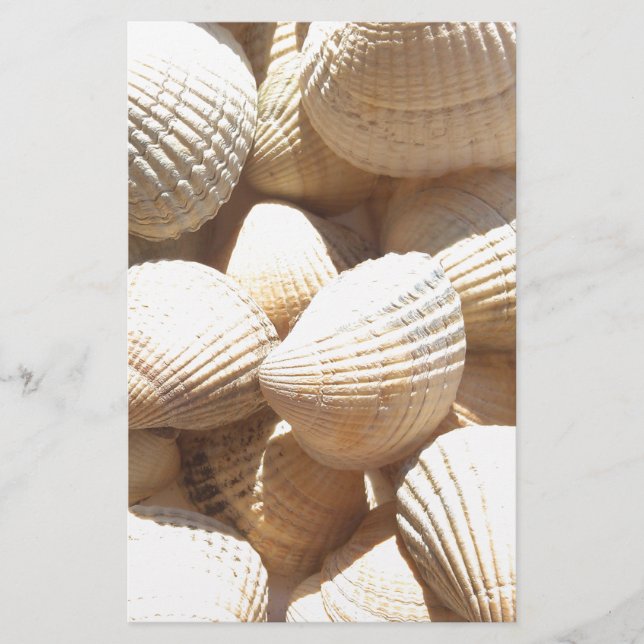 Tropical Sunny Exotic Sea Shells Stationery (Front)