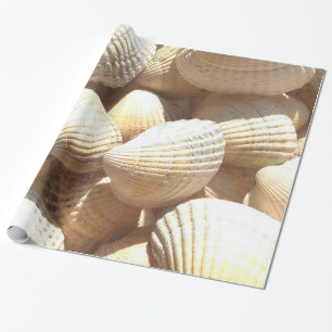 Tropical Sunny Exotic Sea Shells Wrapping Paper