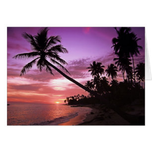 Tropical Sunset