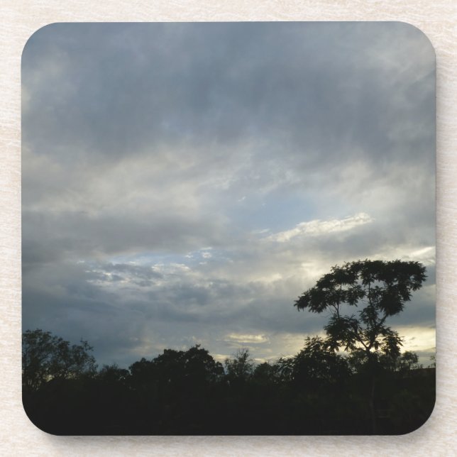 Tropical Sunset Coasters (Front)