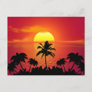 Tropical Sunset Postcard