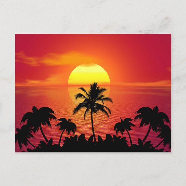 Tropical Sunset Postcard (Front)