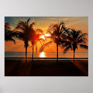 Tropical Sunset Poster