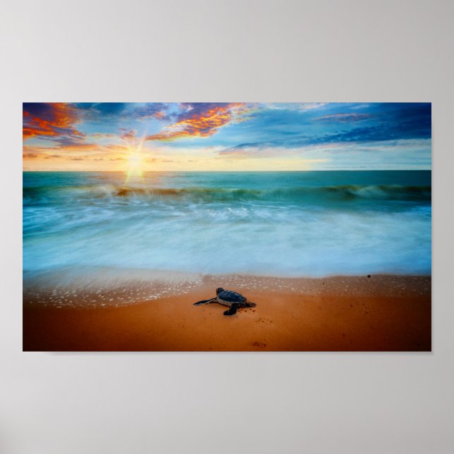 Tropical Sunset Sea Turtle Sandy Beach Poster (Front)