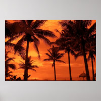 Tropical Sunset Summer Design Palm Trees Landscape