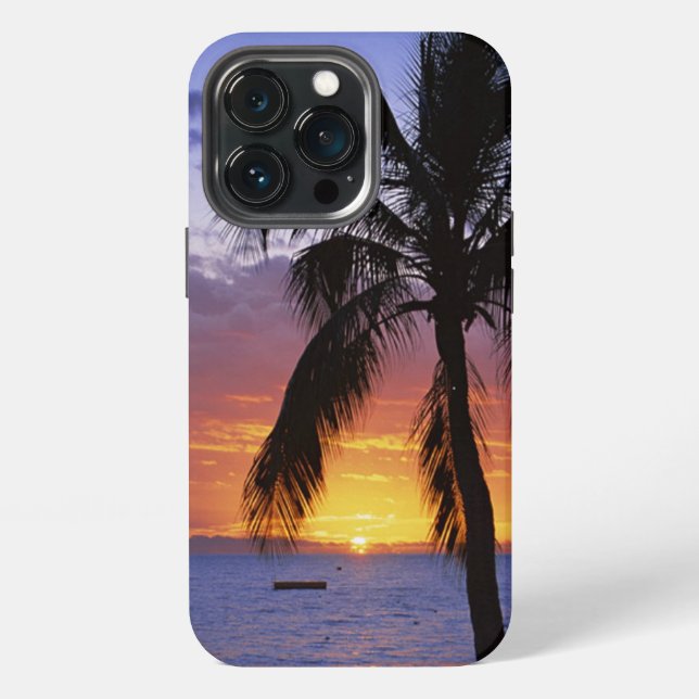 Tropical Sunset with Palm Tree Case-Mate iPhone Ca Case (Back)