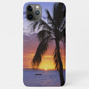 Tropical Sunset with Palm Tree Case-Mate iPhone Case