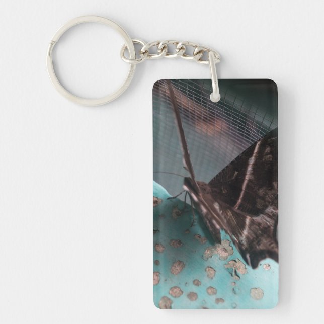 Tropical Swallowtail Moth Key Ring (Front)