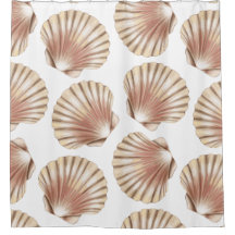 TROPICAL TAN SEASHELLS