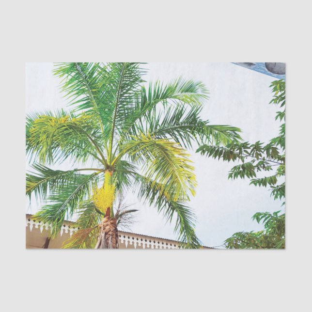 Tropical Tissue Paper Palm Tree (Front)