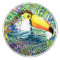 Tropical Toucan Ceramic Knobs