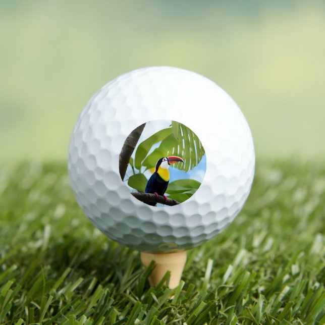 Tropical toucan in a tree golf balls (Insitu Tee)