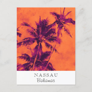 *~* Tropical . Travel AP25 Personalise Palm Leaf Postcard