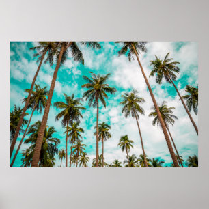 Tropical trees poster