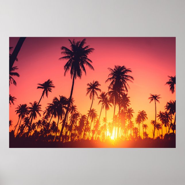Tropical trees sunset poster (Front)