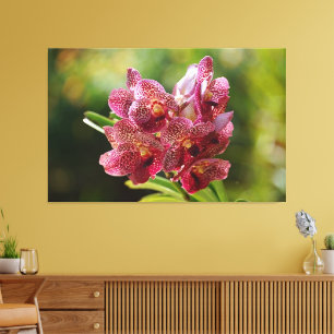 Tropical Vanda Orchid Canvas Print