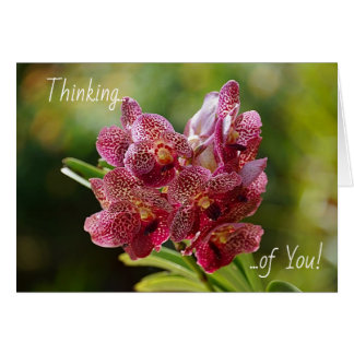 Tropical Vanda Orchid Cluster Card