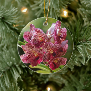Tropical Vanda Orchid Cluster Ceramic Tree Decoration