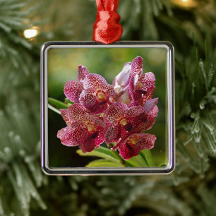Tropical Vanda Orchid Cluster Metal Tree Decoration