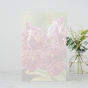 Tropical Vanda Orchid Cluster Stationery