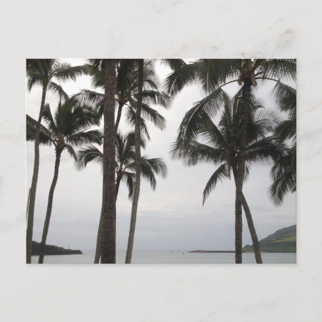 Tropical View in Kauai Postcard (Front)
