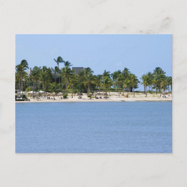 Tropical view postcard (Front)