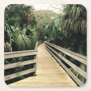 Tropical Walk Pier Palm Trees coaster