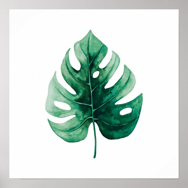 Tropical Watercolor Green Leaf Illustration Poster (Front)