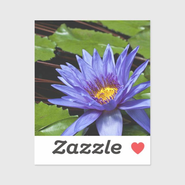 Tropical Waterlily Floral Botanical Design (Sheet)