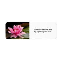 Tropical Waterlily Floral Botanical Design