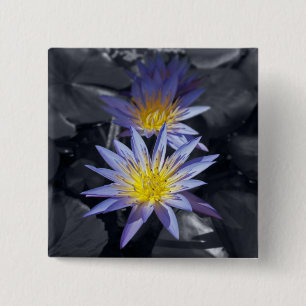 Tropical Waterlily Floral Botanical Design 15 Cm Square Badge