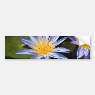 Tropical Waterlily Floral Botanical Design Bumper Sticker