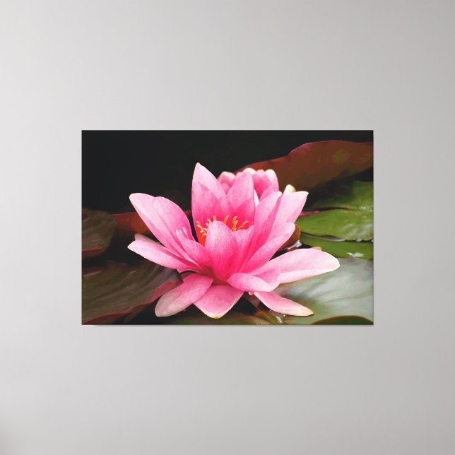 Tropical Waterlily Floral Botanical Design Canvas Print (Front)
