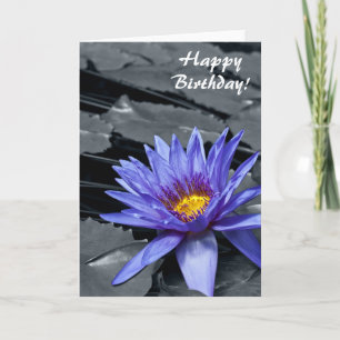 Tropical Waterlily Floral Botanical Design Card