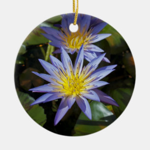 Tropical Waterlily Floral Botanical Design Ceramic Tree Decoration