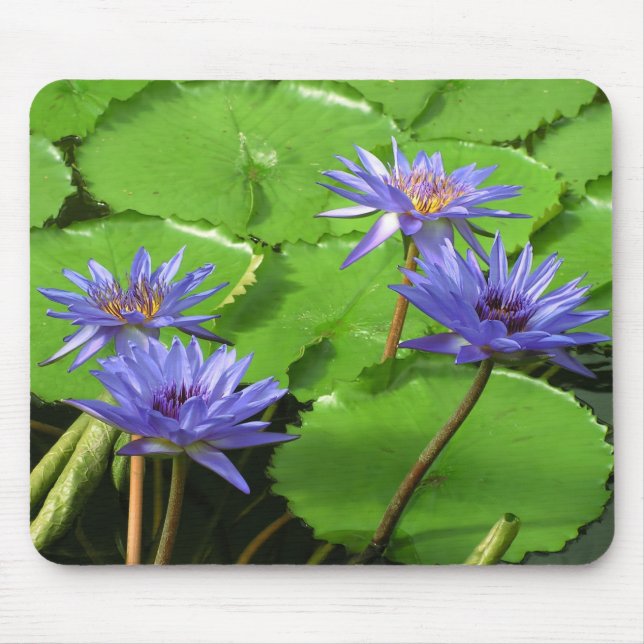 Tropical Waterlily Floral Botanical Design Mouse Pad (Front)