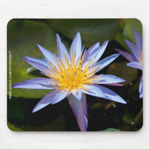 Tropical Waterlily Floral Botanical Design Mouse Pad