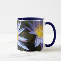 Tropical Waterlily Floral Botanical Design