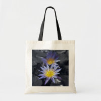 Tropical Waterlily Floral Botanical Design