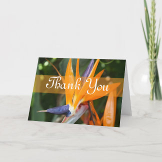 Tropical Wedding Thank You Card