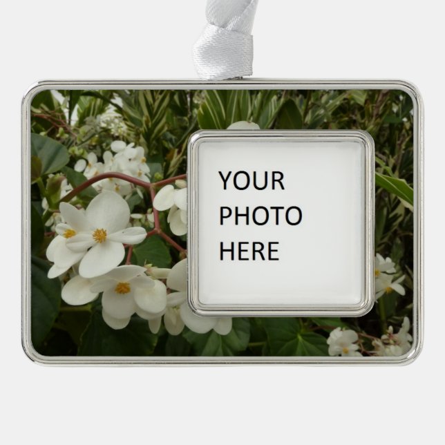 Tropical White Begonia Floral Silver Plated Framed Ornament (Front)