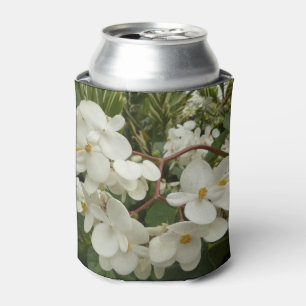 Tropical White Begonia Flowers Can Cooler